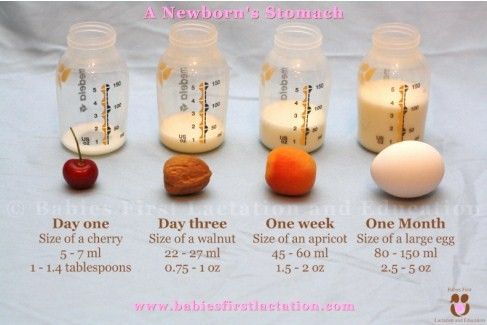 size-of-a-newborns-stomach-v2-online.jpg Photo by currant7 | Photobucket